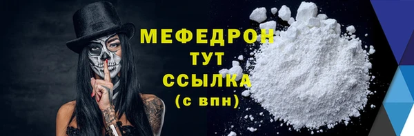 гидра Богородск