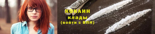 гидра Богородск