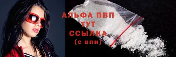 spice Бородино