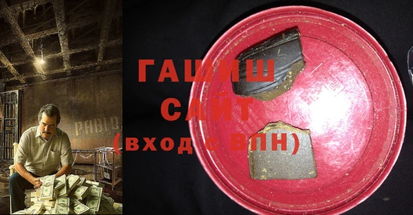 гидра Богородск
