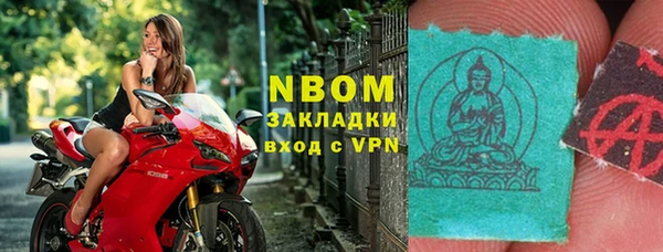 гидра Богородск
