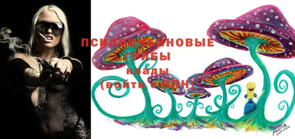 apvp Бронницы