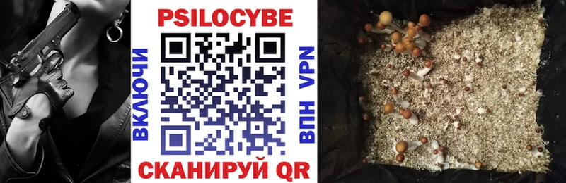 продажа наркотиков ссылка на мегу как войти Псилоцибиновые грибы Psilocybine cubensis Димитровград